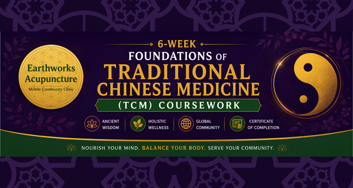 Foundations of Traditional Chinese Medicine (TCM)