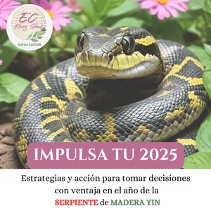 Imagen de portada para Curso online IMPULSA TU 2025: Estrategias para decidir con ventaja en el Año de la Serpiente de Madera Yin"