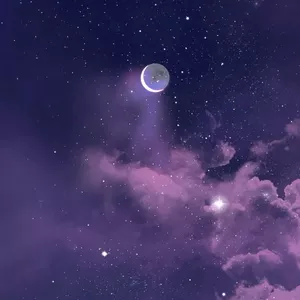 Imagem de capa para o Ebook Palavras que ficam depois que alguém vai 