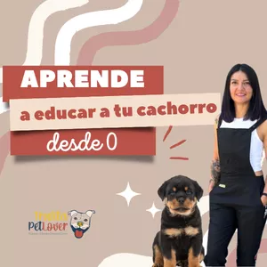 Aprende a educar a tu cachorro desde 0