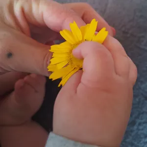 Imagem de capa para o Ebook Mães 