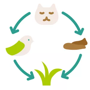 Imagem de capa para o Ebook Cadeia Alimentar