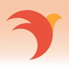 Spatz Musik - Online Music School