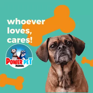 Cover image for Ebook Manual Power Pet