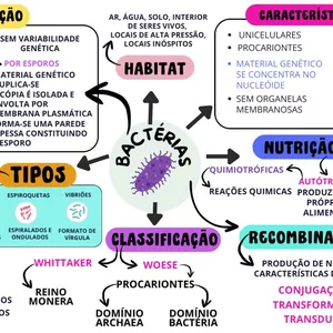 Imagem de capa para o Ebook MAPA MENTAL - BACTÉRIAS