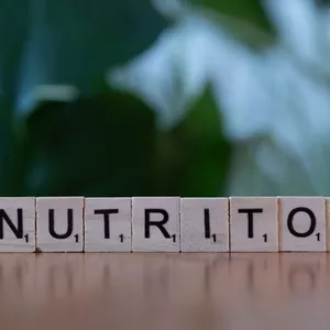 Refeições Rápidas e Nutritivas para Profissionais Ocupados