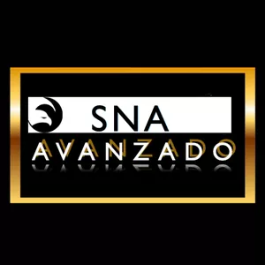 Imagen de portada para Curso online SNA INTEGRATIVO - AVANZADO