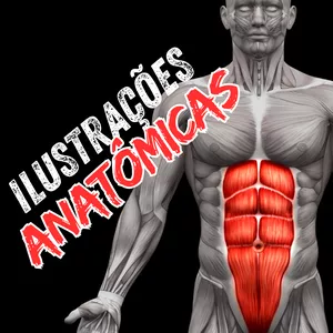 Imagem de capa para o Curso online Ilustrações Anatômicas