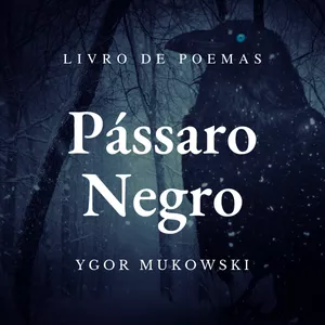 Imagem de capa para o Ebook Pássaro Negro