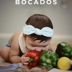 Imagen de portada para Ebook Pequeños bocados 