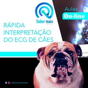 Imagem de capa para o Curso online RÁPIDA INTERPRETAÇÃO DO ECG EM CÃES