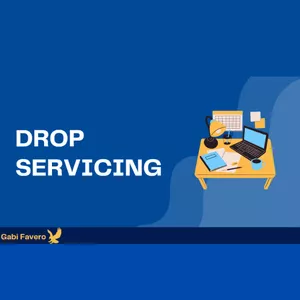 Imagem de capa para o Curso online Drop Servicing