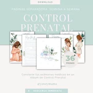 Imagen de portada para Ebook Paginas Separadora de  Control Prenatal  Semana a Semana Azul
