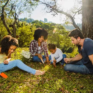 Imagem do curso Natureza e Sociedade - Relação com o Meio Ambiente