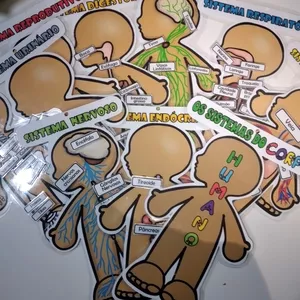 Imagem de capa para o Ebook Os sistemas do corpo humano 