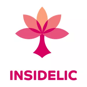 Imagem de capa para o Curso online Formação em INSIDELIC