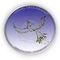 AuthenticAutismSolutions