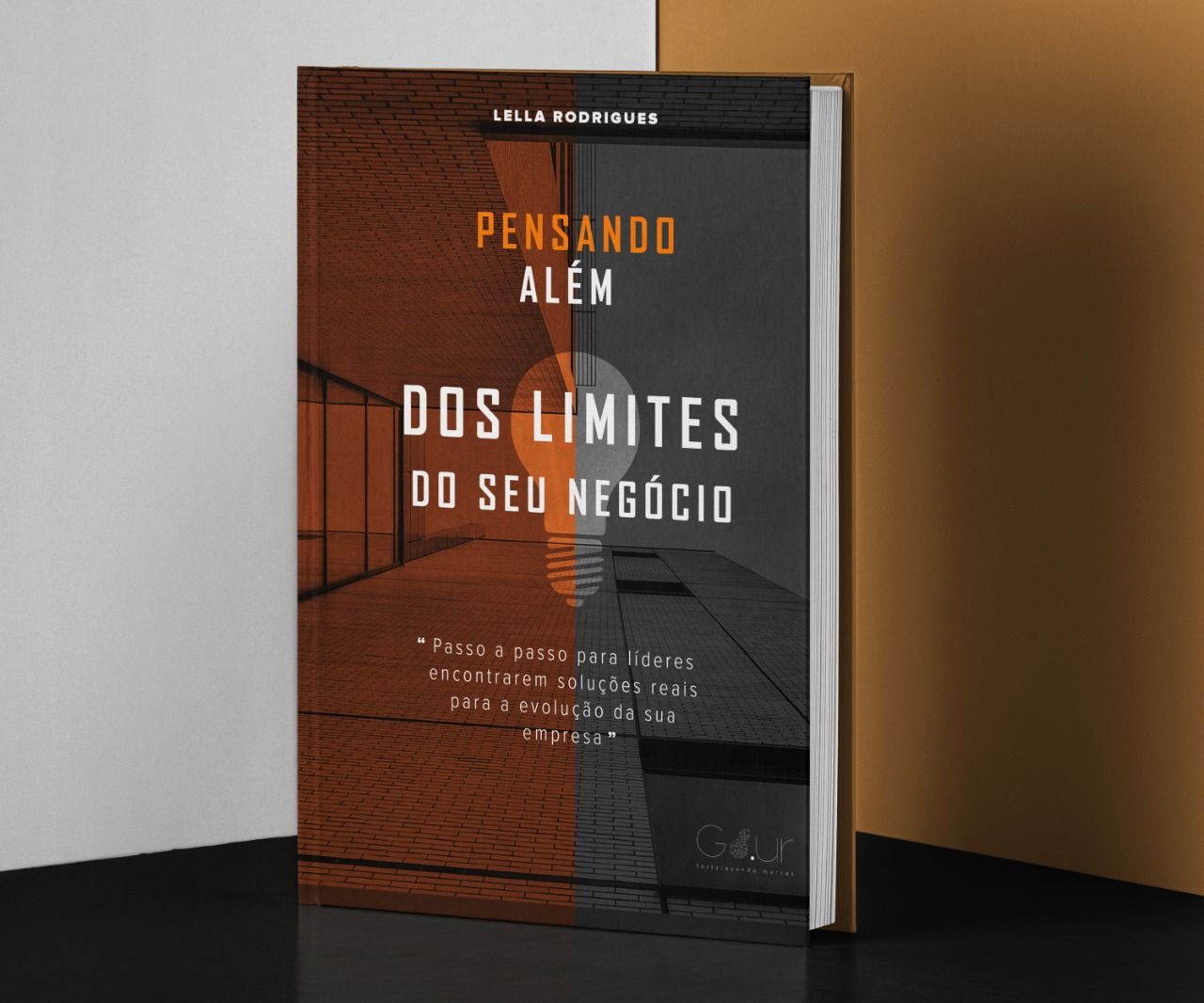 Imagem do curso Pensando Além dos Limites Do Seu Negócio