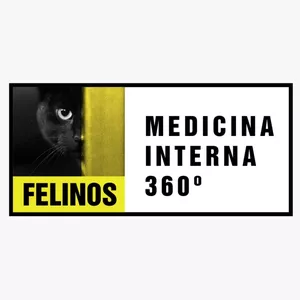 Imagen de portada para Curso online FELINOS: Medicina Interna 360 - 2023 (grabado)
