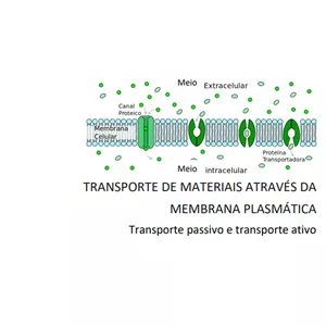 Imagem de capa para o Curso online Transporte de Materiais Através da Membrana Plasmática - CADERNOS "Ligando Conceitos"