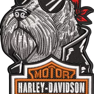 Imagen de portada para Curso online PARCHE BORDADO Harley Davidson