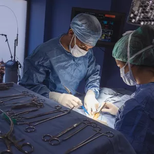 Imagen de portada para Ebook CIRUGIA VETERINARIA 