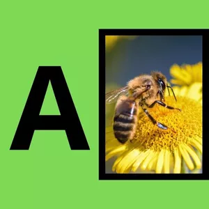 Imagem de capa para o Curso online Kit Alfabeto ilustrado com figura 21x14.8  cm verde