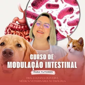 Imagem de capa para o Curso online Curso Modulação Intestinal para Tutores