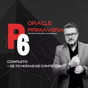 Imagem de capa para o Curso online Primavera P6 - COMPLETO