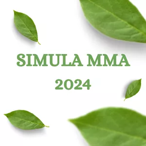 Imagem de capa para o Curso online SIMULA MMA