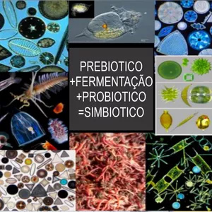 SIMBIÓTICOS E NOVOS FERTILIZANTES