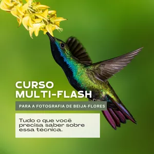 Imagem de capa para o Curso online Curso de Multi-Flash Para a Fotografia de Beija-flores