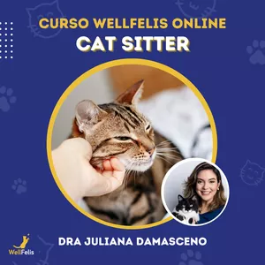 Imagem de capa para o Curso online Curso WellFelis Online: Cat Sitter