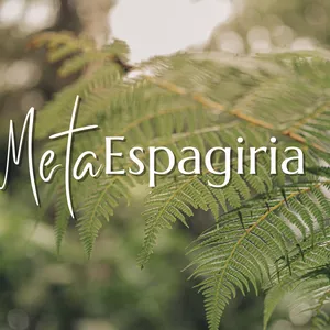 Imagen de portada para Curso online MetaEspagiria