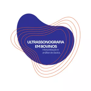 Imagem de capa para o Curso online Treinamento Ultrassonografia em Bovino: Interpretação e Análise de Dados.