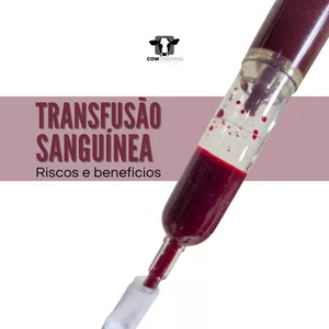 Imagem de capa para o Curso online Transfusão Sanguínea: Riscos e benefícios