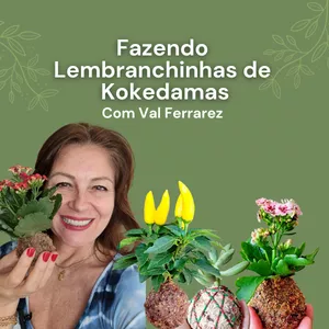 Imagem de capa para o Curso online lembracinhas de kokedamas lucrativos