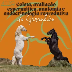 Imagem de capa para o Curso online Reprodução Equina - Coleta, avaliação espermática, anatomia e endocrinologia reprodutiva do garanhão