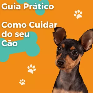 Imagem de capa para o Ebook Como Cuidar do seu Cão - Manual Prático 