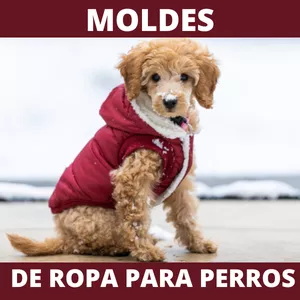 Imagen de portada para Ebook Moldes de ropa para perros