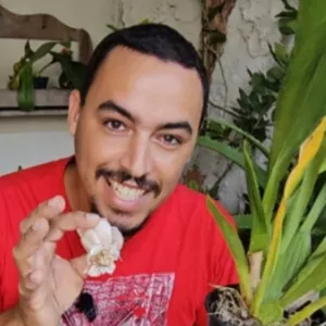 Curso ORQUÍDEAS EM CASA