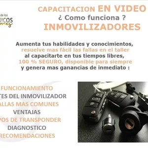 Imagen de portada para Curso online ¿Como funcionan? LOS INMOVILIZADORES