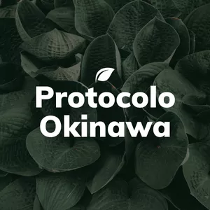 Imagen de portada para Ebook Protocolo Okinawa