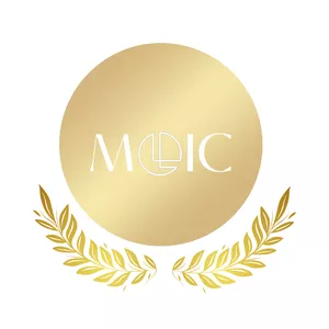 Imagem de capa para o Curso online Mentoria MOIC