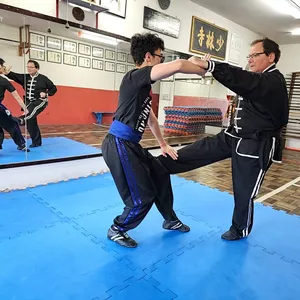 Imagem de capa para o Curso online Kung Fu Combinada de Mãos Shaolin