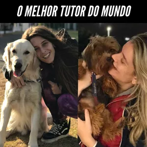 Imagem de capa para o Curso online O Melhor Tutor do Mundo