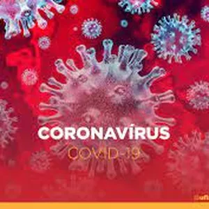 Imagem de capa para o Ebook Portfólio tema microorganismos deixando sequelas em pós covid-19