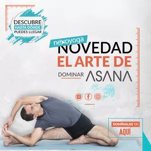 Imagen de portada para Curso online El arte de dominar Asana - Matriz Biométrica.