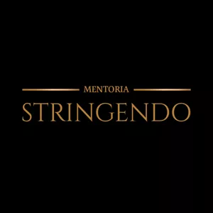 Imagem de capa para o Curso online Mentoria Stringendo