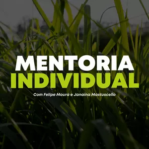 Imagem de capa para o Curso online Mentoria individual com Felipe Moura e Janaina Martuscello